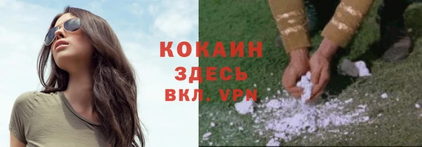 соль ск Сосновоборск