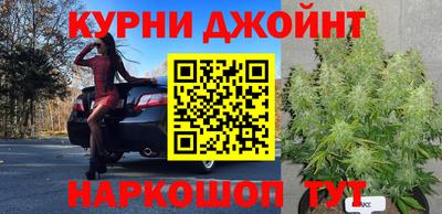 spice Рязань
