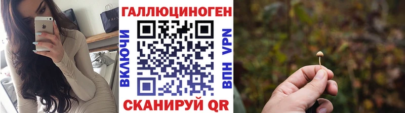 продажа наркотиков  Волоколамск  Псилоцибиновые грибы прущие грибы 